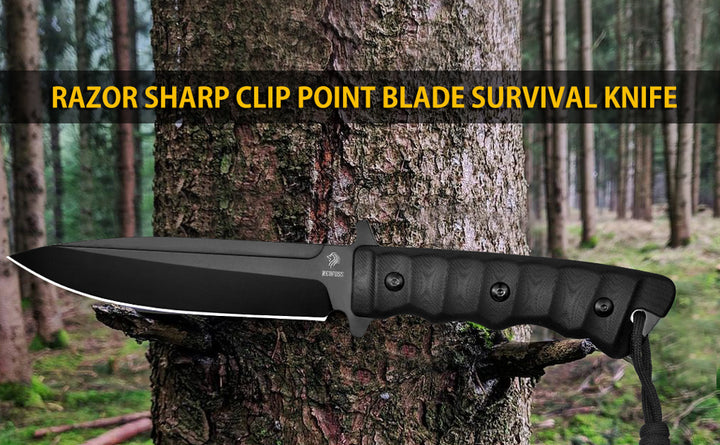 Nedfoss Phoenix 5.5" 8Cr14Mov Fixed Blade Bowie Knife with G10 Handle