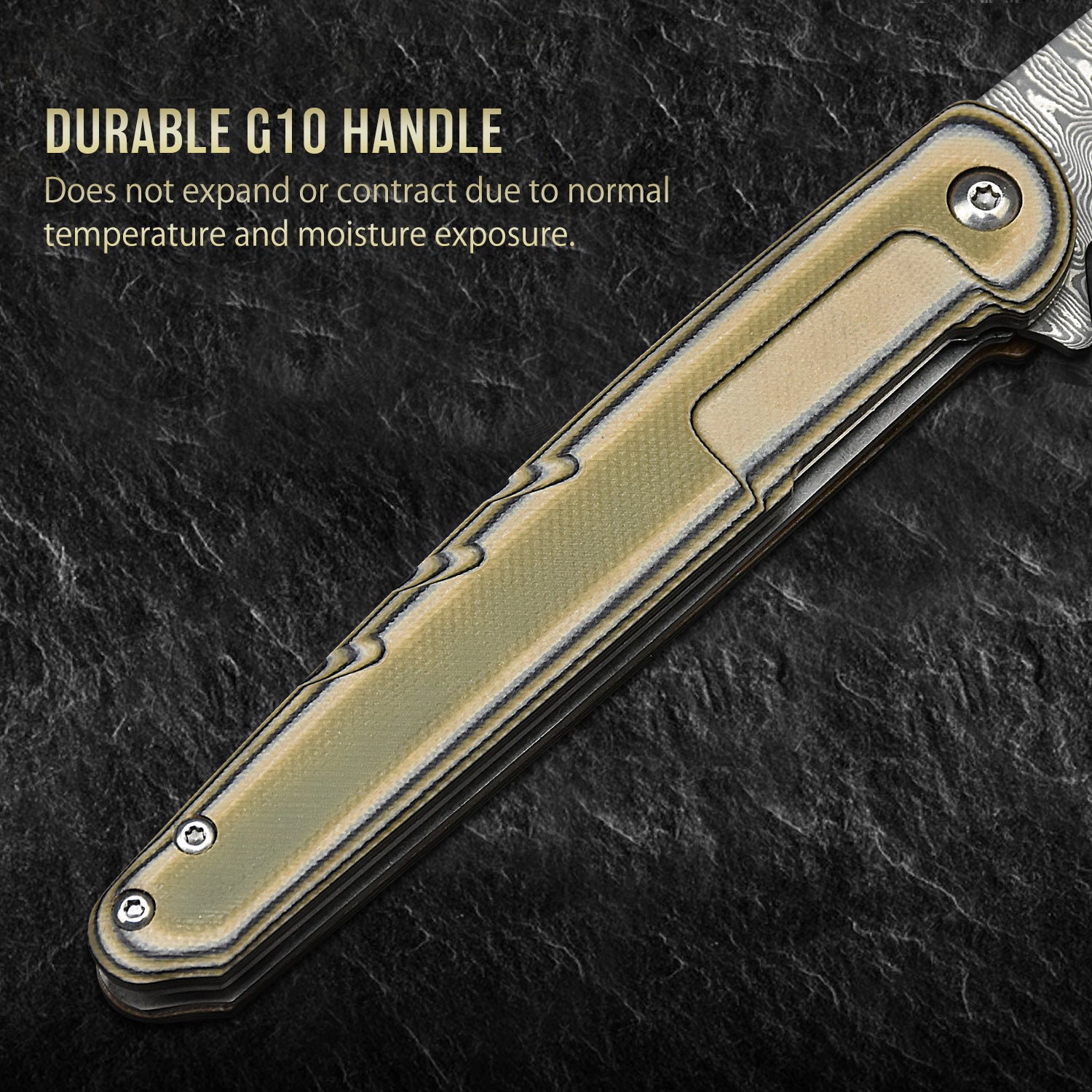 DRAKE F60LTD Mサイズ　4x4ネジ　プレート付き Dragonfly Damascus Pocket Knife, Damascus Steel Blade Flipper with